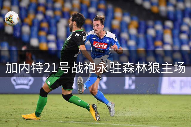 加内特21号战袍永驻森林狼主场