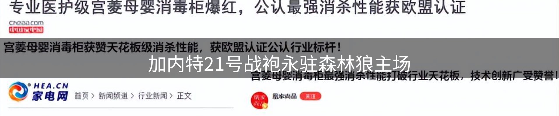 体育资讯