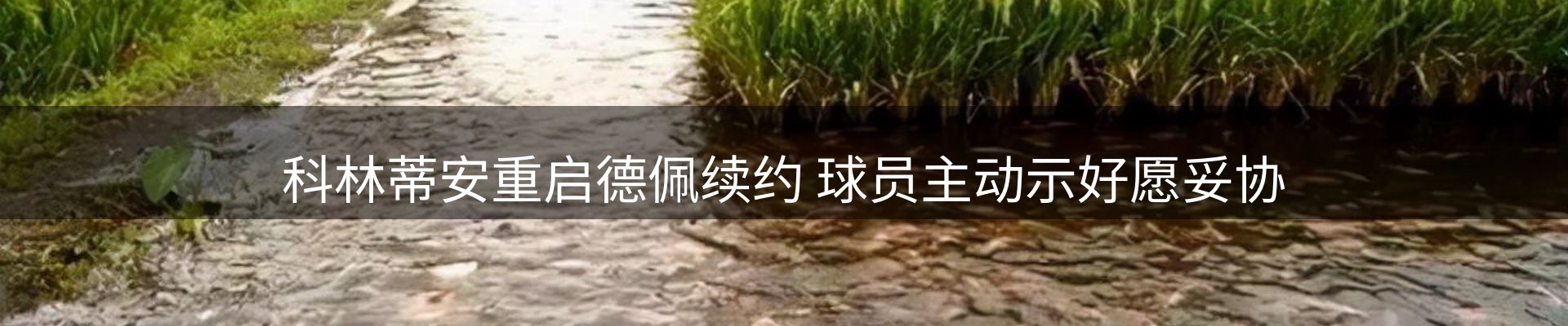 体育资讯